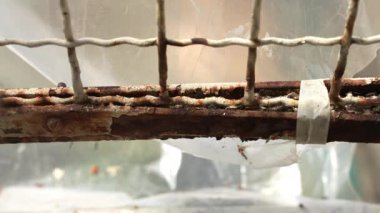 Process of removing old rusty surface with metal brush, weathered corroded steel gate renovation. Removing corrosion with wire brush, preparing metal gate for painting. High quality 4k footage