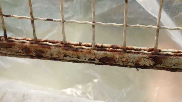 Old Rusty Gate Surface Construction Site Worker Removing Rust Corrosion — 비디오