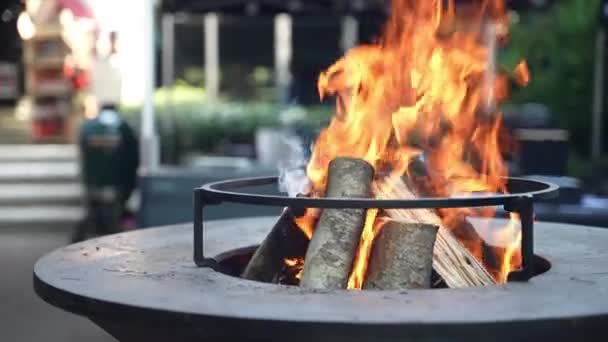 Geleneksel Bbq Sigara Içicisi Piknik Partisi Hazırlığı Içeride Yanan Kuru — Stok video