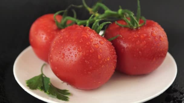 Tomates con gotas de agua — Vídeo de stock