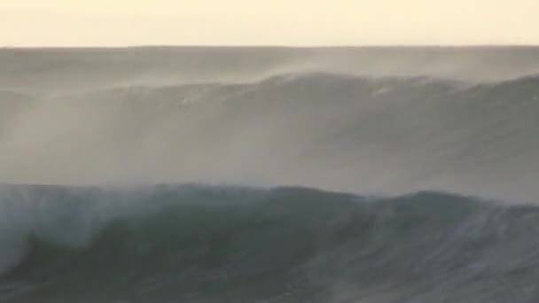 Waves Byron Bay — Stock Video