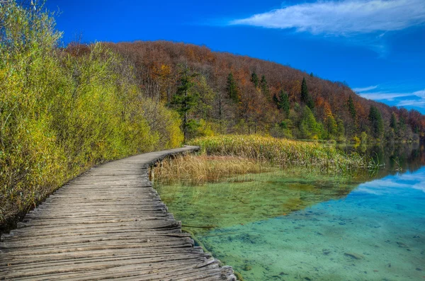 Jezero proscansko v Plitvická jezera — Stock fotografie