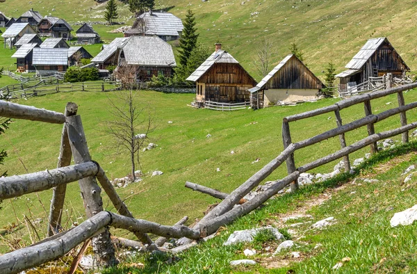 Zajamniki alpine weide Rechtenvrije Stockfoto's