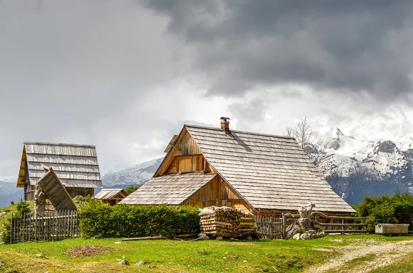 Заямники Альпийский луг — стоковое фото