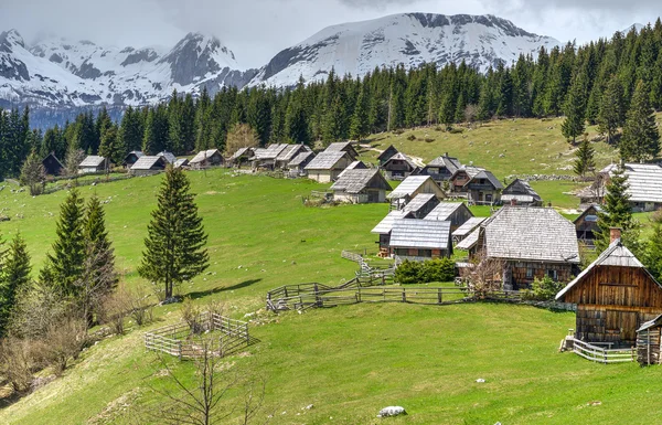 Zajamniki alpine weide — Stockfoto