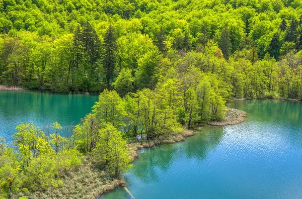Ponds at Plitvice Lakes — Stock Photo, Image