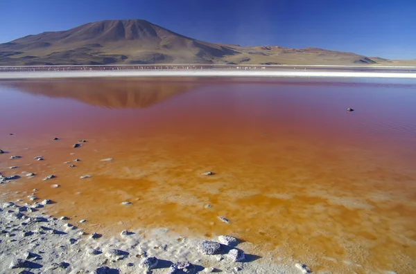 Laguna Colorada