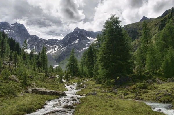 La vallée de Pitztal au Tyrol — Photo