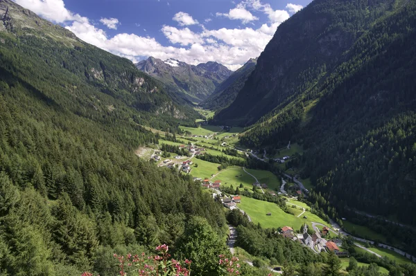 Valley, Pitztal in tirol — Zdjęcie stockowe