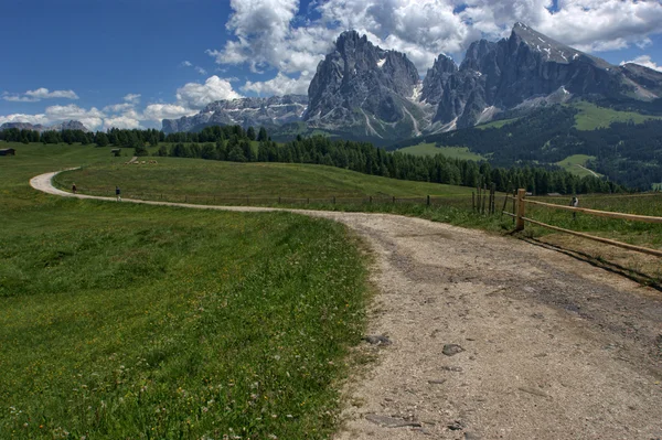 Alpe di Siusi