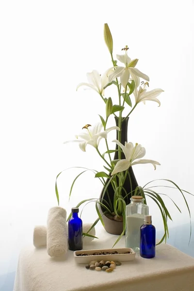 Orquídeas para Spa — Zdjęcie stockowe