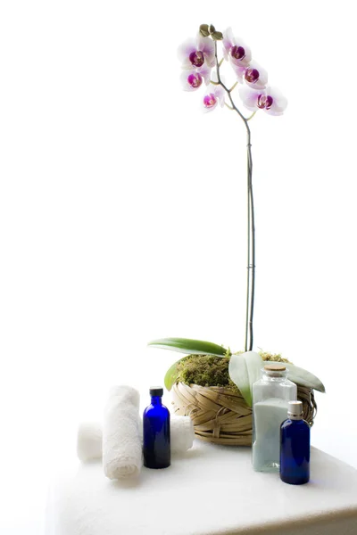 Orquídeas para Spa