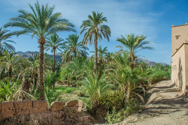 tamnougalt tarihi avuç içi