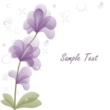 grava grisPhalaenopsis