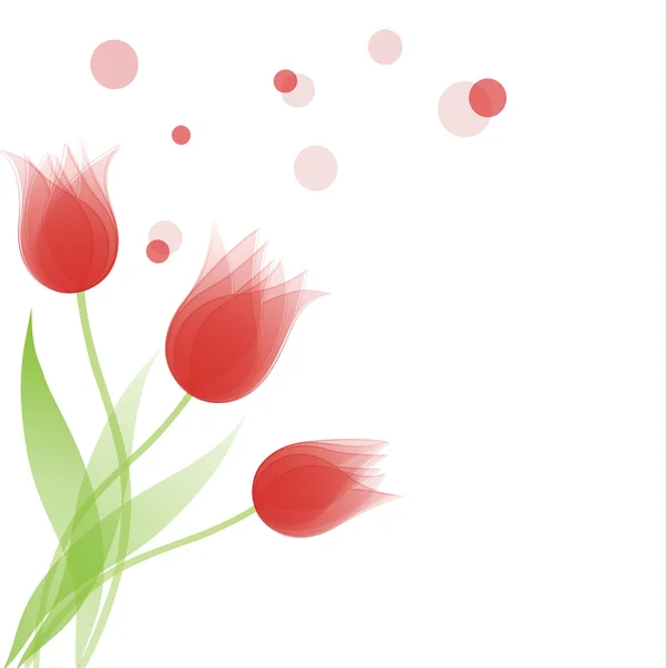 Tulips — Stock Vector