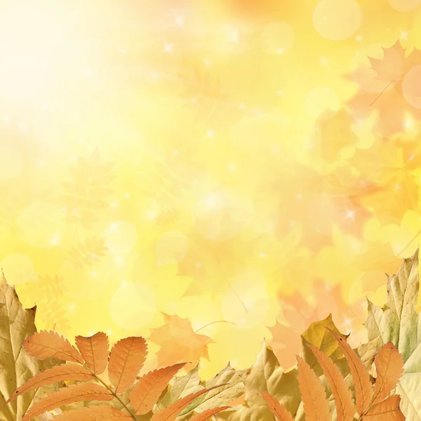 Autumn background — Stock Photo, Image