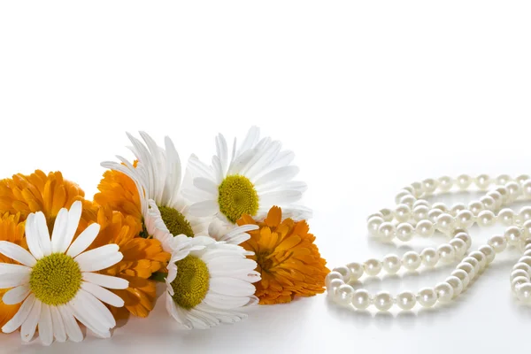 Orange och vita blommor — Stockfoto