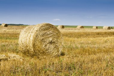 haystacks