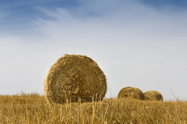 Pile da paglia — Foto Stock