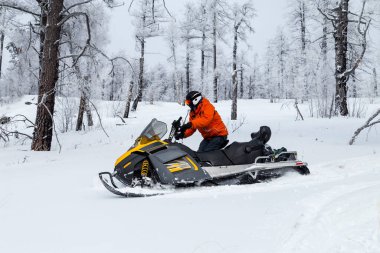 Güney Urallar 'ın dağlarındaki kış ormanlarında hareket eden bir kar aracının atleti..