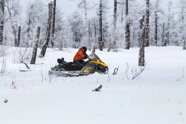 Спортсмен Снегоходе Движется Зимнем Лесу Горах Южного Урала — стоковое фото