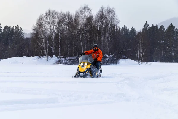 Atleta Una Motoslitta Che Muove Nella Foresta Invernale Tra Montagne — Foto Stock