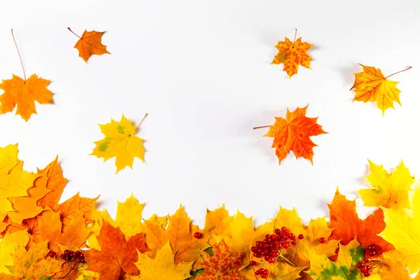 Autumn Leaves White Background Copy Space Text — Stock Photo, Image