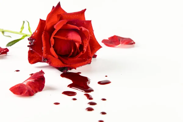 Red rose and drops of blood on a white background. Medical concept.