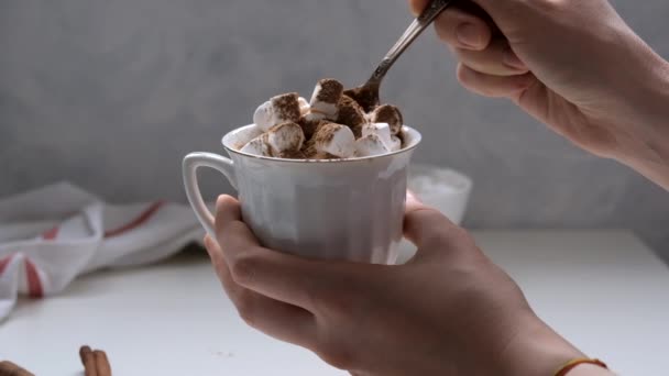 Keramisk Mugg Med Varm Choklad Kakao Dryck Med Marshmallow — Stockvideo