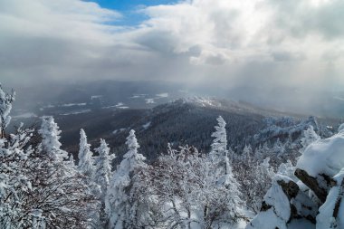 Ural dağlarındaki yoğun kar yağışından sonra mavi gökyüzüne karşı karlı ağaç dalları..