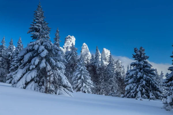 Arborele Zăpadă Ramifică Cerul Albastru După Zăpadă Grea Munții Ural — Fotografie, imagine de stoc