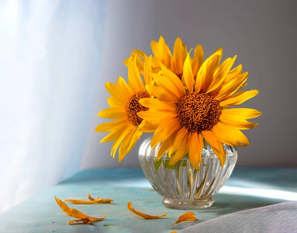 Drei Sonnenblumen Einer Glasvase Auf Einem Blauen Tisch — Stockfoto