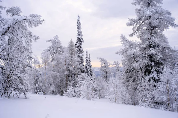 Ural Dağlarındaki Yoğun Kar Yağışından Sonra Mavi Gökyüzüne Karşı Karlı — Stok fotoğraf