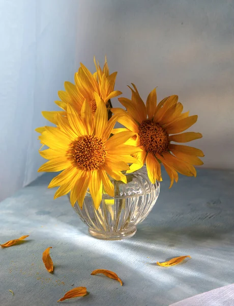 Drie Zonnebloemen Een Glazen Vaas Een Blauwe Tafel Stockafbeelding