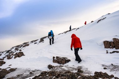 Şubat ayı sonunda Barents Denizi kıyısında. Teriberka, Rusya. Turistler dağlara tırmanır.