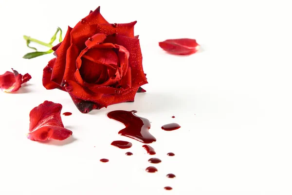 Kırmızı gül ve beyaz arka planda kan damlaları. Tıbbi konsept.