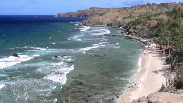 Strand auf maui, hawaii (landschaft)