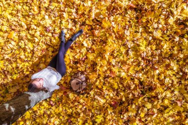 Üst Manzara. Sırt çantalı güzel bir kadın ağacın altında oturuyor ve sonbahar akçaağaç yapraklarının üzerinde dinleniyor. Hava, İHA görünümü