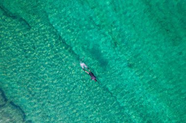 Spearfishing scuba diver in tropical exotic sea, ocean turquoise clear water. Man swimming hunting exotic fish, poaching. Top view. Aerial, drone, copter view.