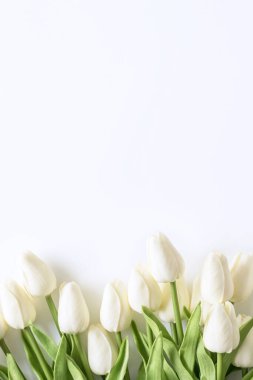 Beyaz arka planda beyaz laleler. Sevgililer Günü, Anneler Günü, Doğum günü, Bahar Zamanı. Kutlama konsepti. Tebrik kartı, şablon. Uzayı kopyala, düz yat.