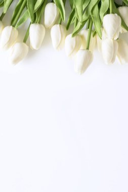 Beyaz arka planda beyaz laleler. Sevgililer Günü, Anneler Günü, Doğum günü, Bahar Zamanı. Kutlama konsepti. Tebrik kartı, şablon. Uzayı kopyala, düz yat.
