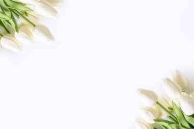 Beyaz arka planda beyaz laleler. Sevgililer Günü, Anneler Günü, Doğum günü, Bahar Zamanı. Kutlama konsepti. Tebrik kartı, şablon. Uzayı kopyala, düz yat.