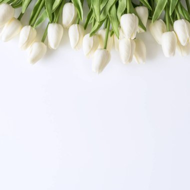 Beyaz arka planda beyaz laleler. Sevgililer Günü, Anneler Günü, Doğum günü, Bahar Zamanı. Kutlama konsepti. Tebrik kartı, şablon. Uzayı kopyala, düz yat.