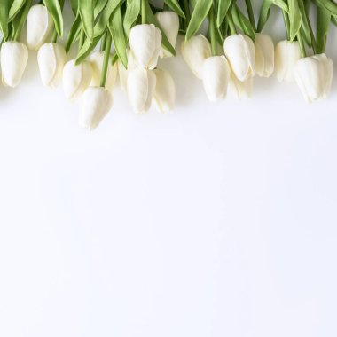 Beyaz arka planda beyaz laleler. Sevgililer Günü, Anneler Günü, Doğum günü, Bahar Zamanı. Kutlama konsepti. Tebrik kartı, şablon. Uzayı kopyala, düz yat.