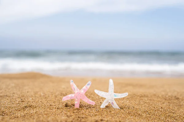 Two Colorful Starfish Star Sand Beach Sea Water Background Couple — Stock Photo, Image