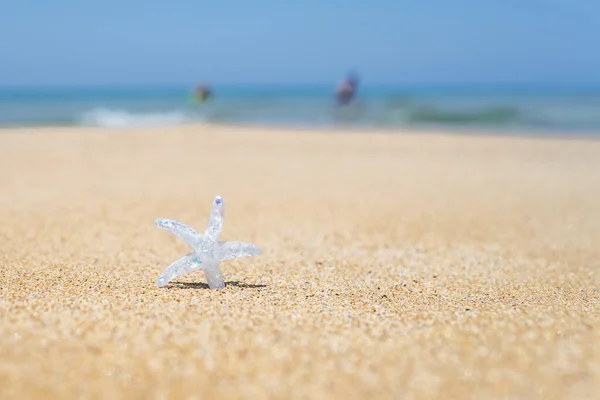 Серебряная Морская Звезда Звезда Песчаном Пляже Фоне Морской Воды Концепция — стоковое фото