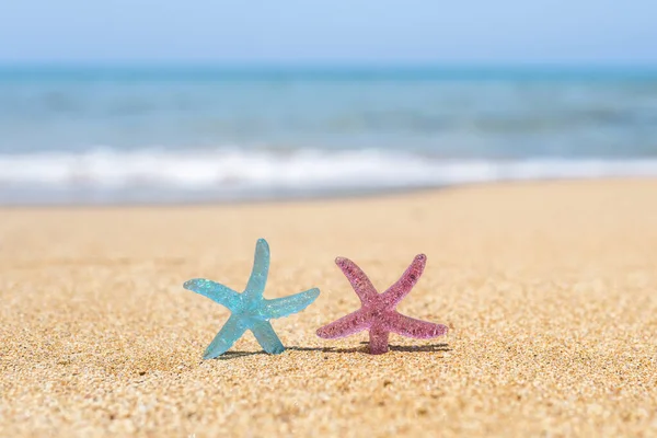 Two Colorful Starfish Star Sand Beach Sea Water Background Couple — Stock Photo, Image