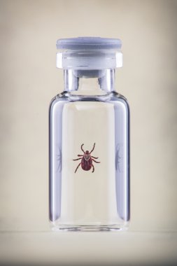 Tick in a vial clipart