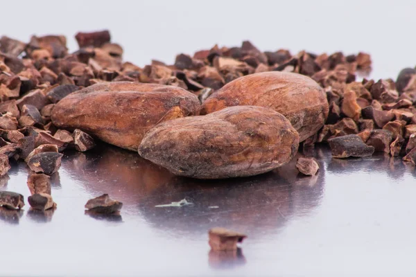 Čokoládové kakaových bobů izolovaných na bílém pozadí — Stock fotografie
