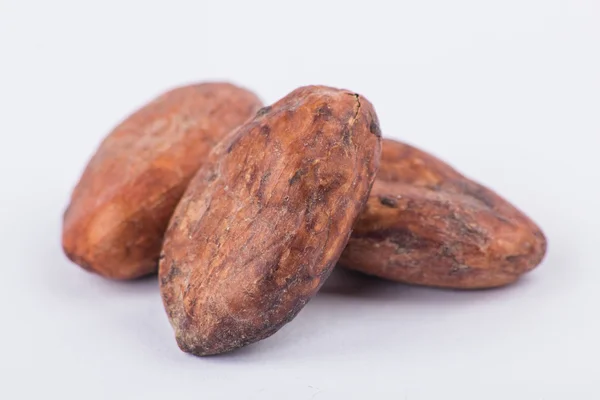 Schokolade Kakaobohnen isoliert auf weißem Hintergrund — Stockfoto
